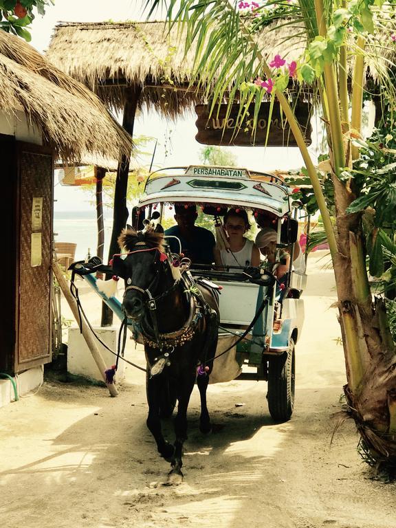 Villa Ardi Beltza Gili Air Bagian luar foto